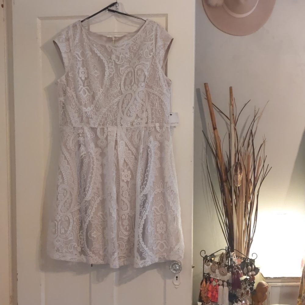 Ivory Lace Dress